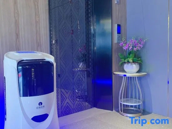 True Go  S Hotel (Kuixinglou Food Street, Kuanzhai Alley)
