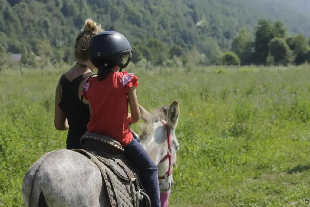 Wolf Village