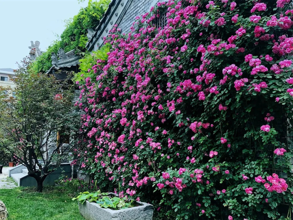 Xi'an Impression Nanhu Lake Homestay
