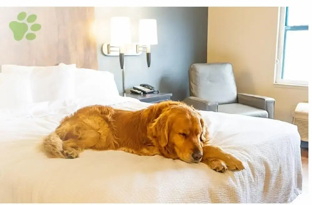 Extended Stay America Premier Suites - Colorado Springs - South