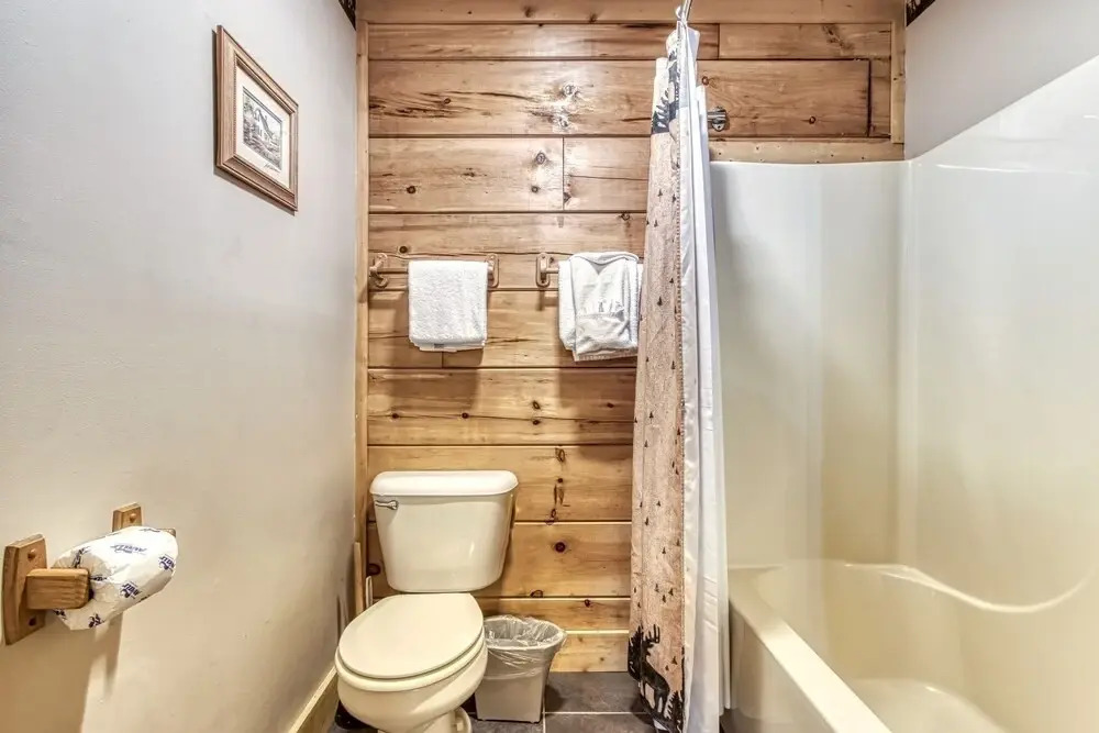 ER301 - Eagles Hideaway - Great Location! Close To All The Action! cabin