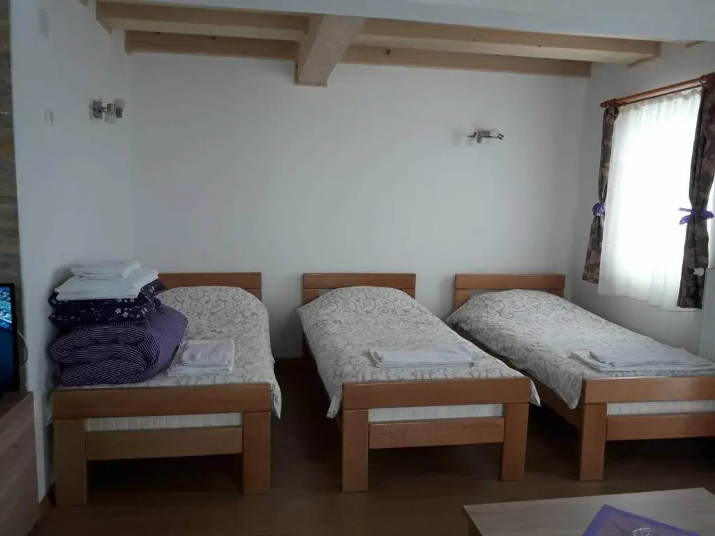 Apartments Panovic