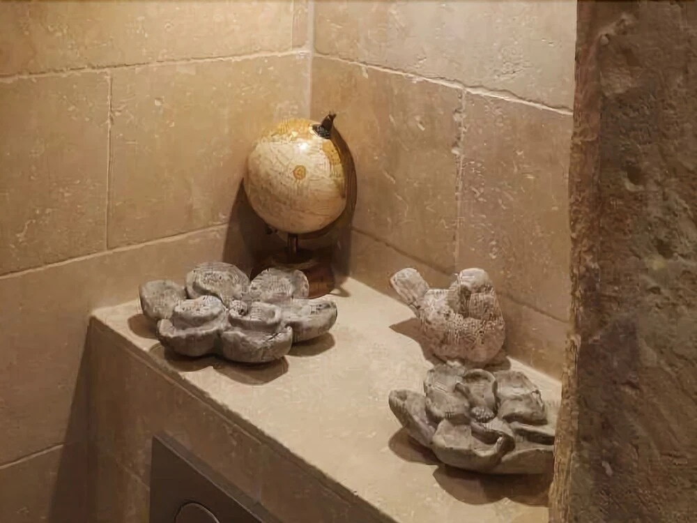 Appartement l'Authentique