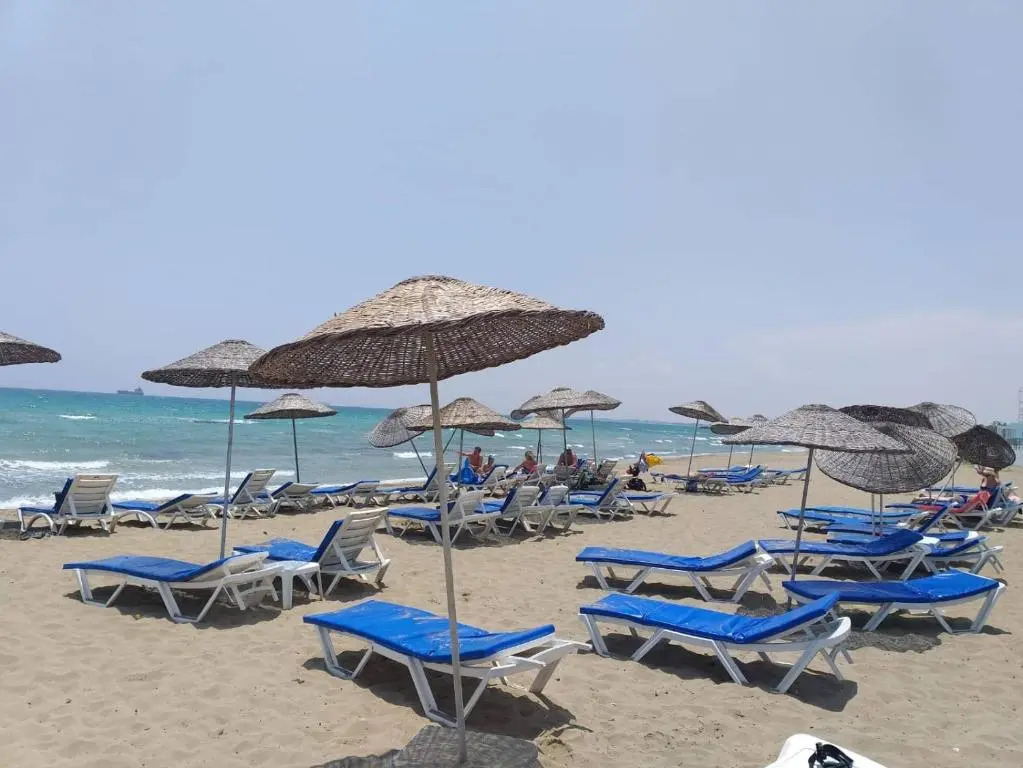 Panorama 44 Agya Napa