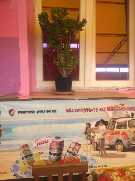 Casa Roz