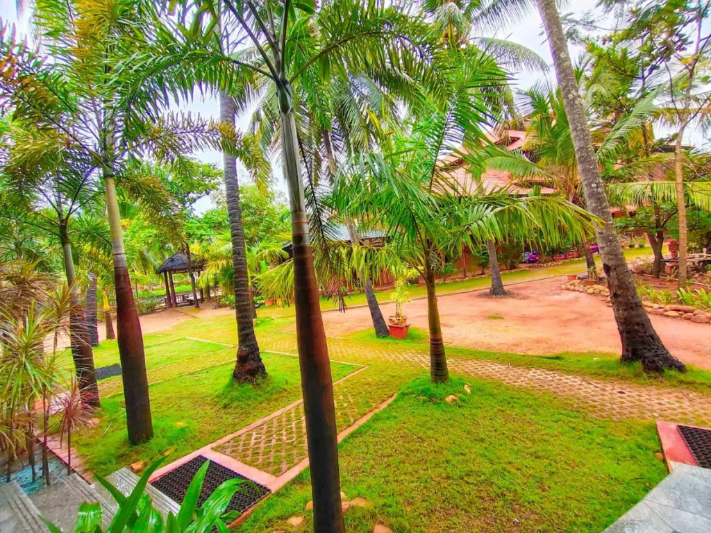 Paradise Lagoon