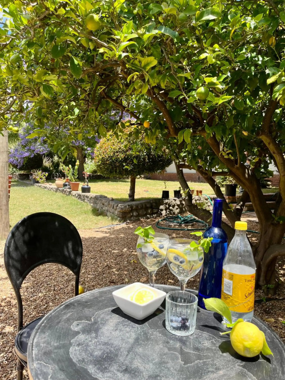 Staymore Cape Winelands Homestay