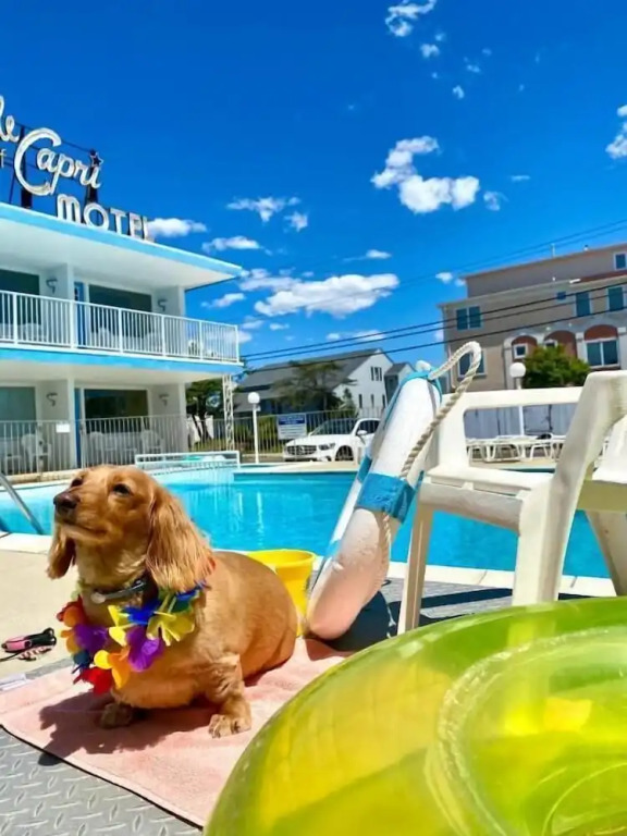 Isle of Capri Motel