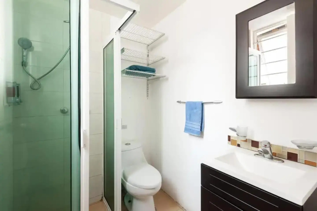 Cozy & Full Apt in Coyoacan Great for Long Stays