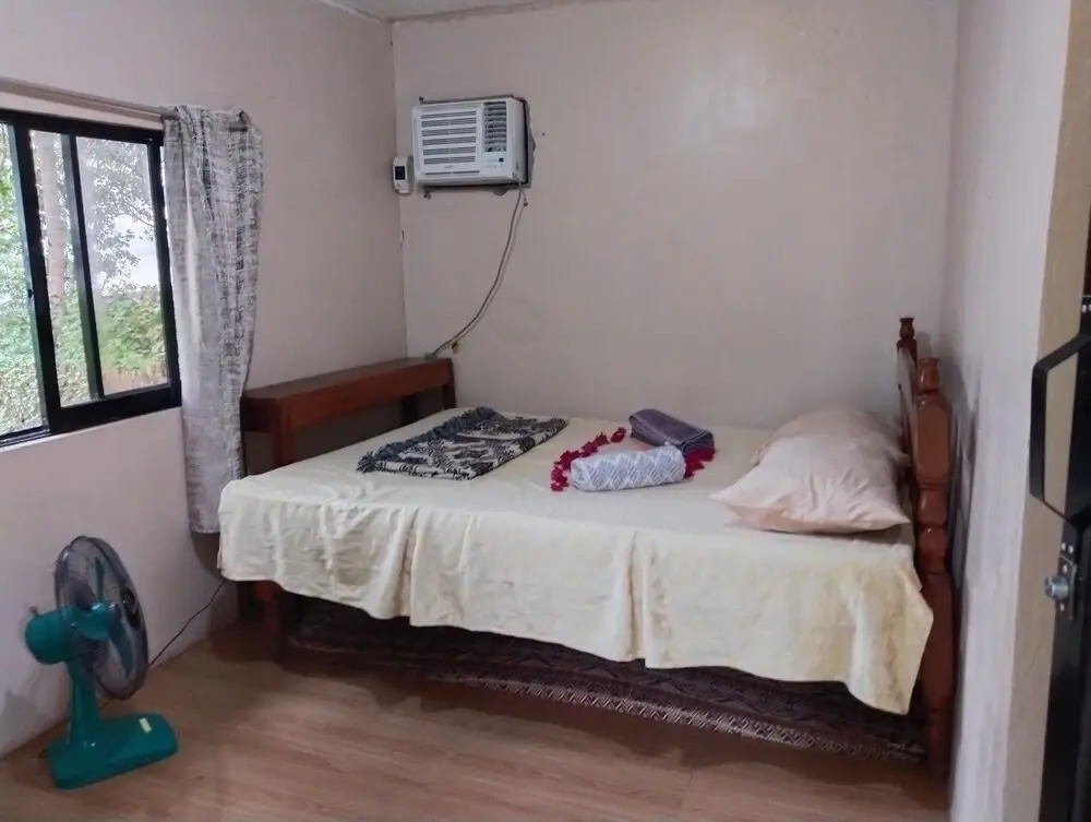 Tay Delings Place