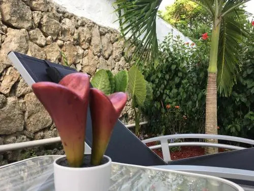 Hotel Las Flores