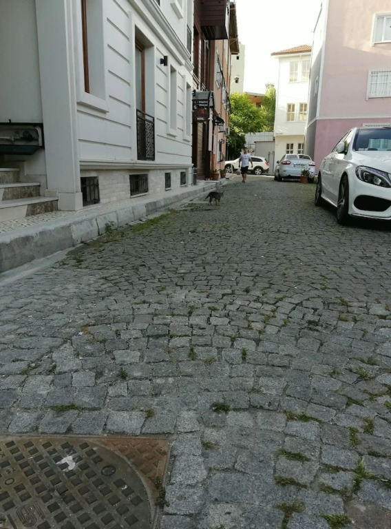 Violin Hotel Sultanahmet