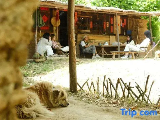 Shanxiao Homestay