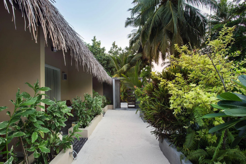 Tropical Village