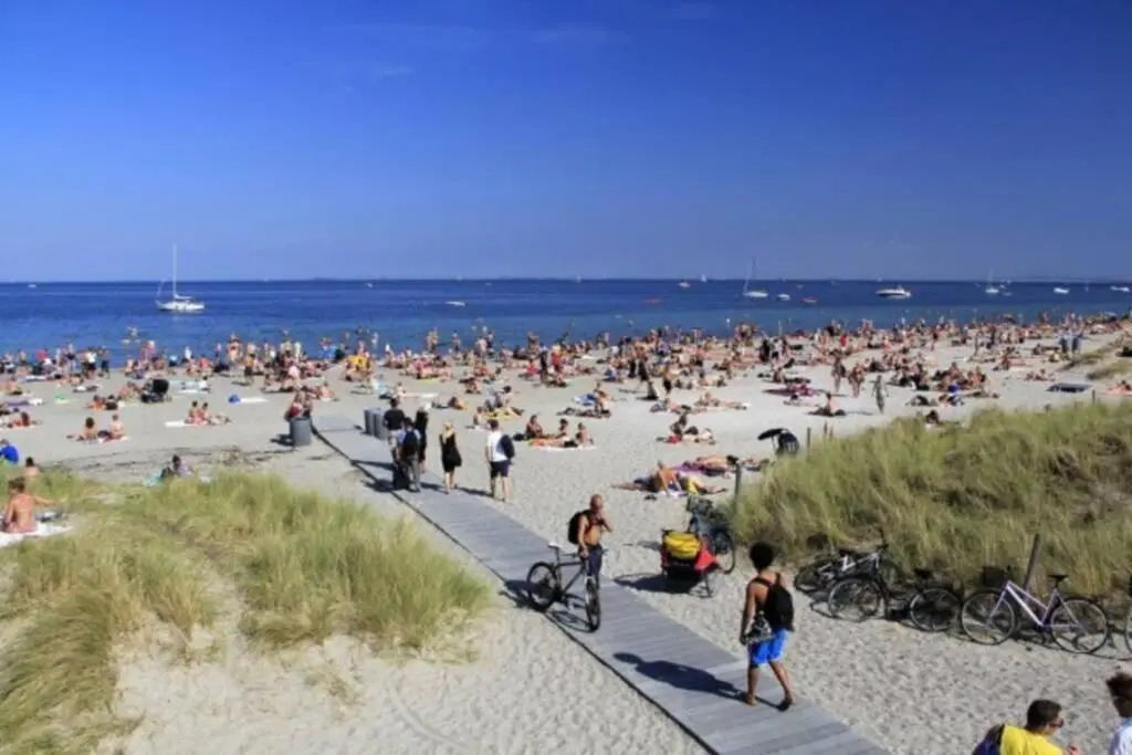 Cosy apt. in Copenhagen near Airport- metro-beach.