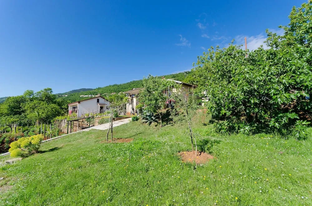 Apartments Dinka