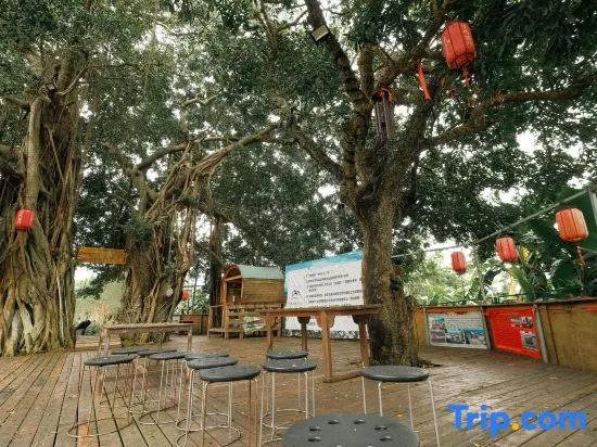 Feiyi Culture Village (Dapeng Suocheng Branch)