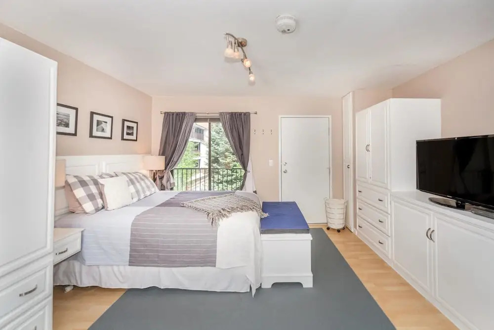 Boomerang Village 206 1 Bedroom Condo By Accommodations in Telluride