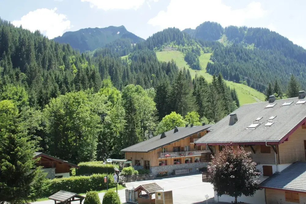 Portes Du Soleil Psb204 Telecabine & Mountain 4 pe