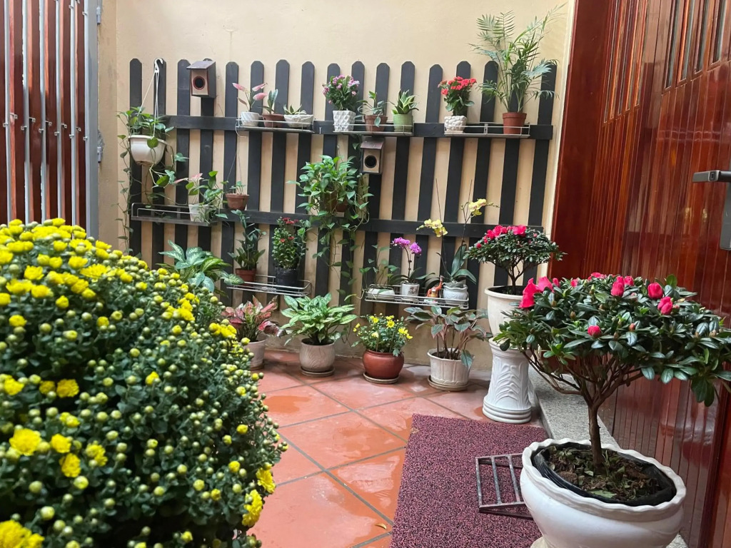 May Residence-800m from Opera House