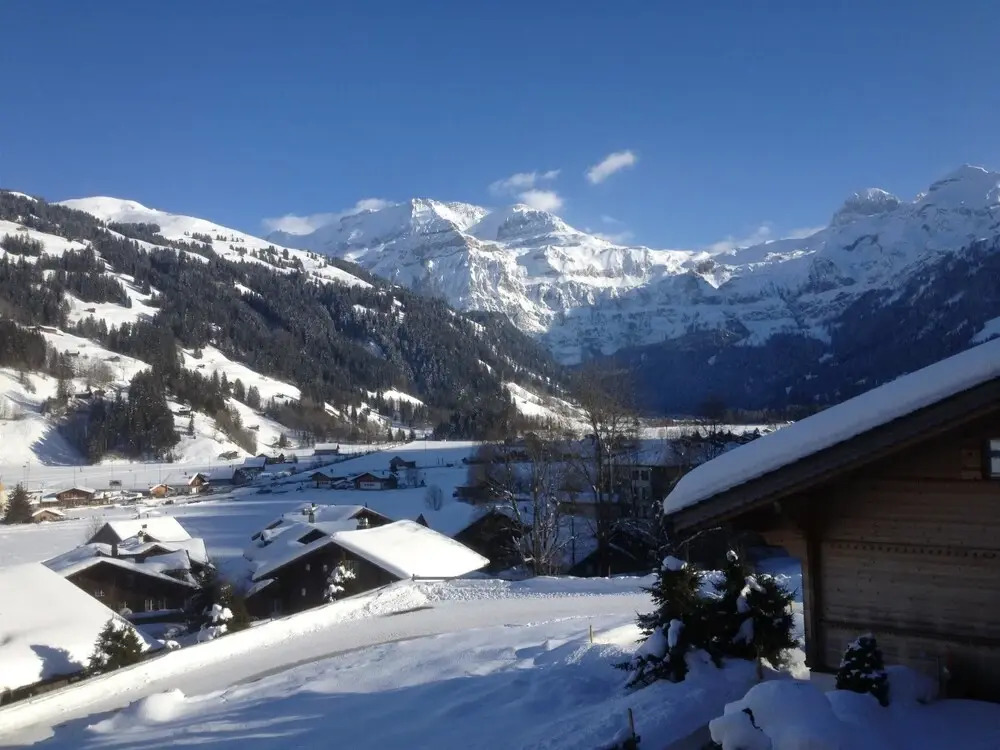 Rott li OG Lenk in Lenk