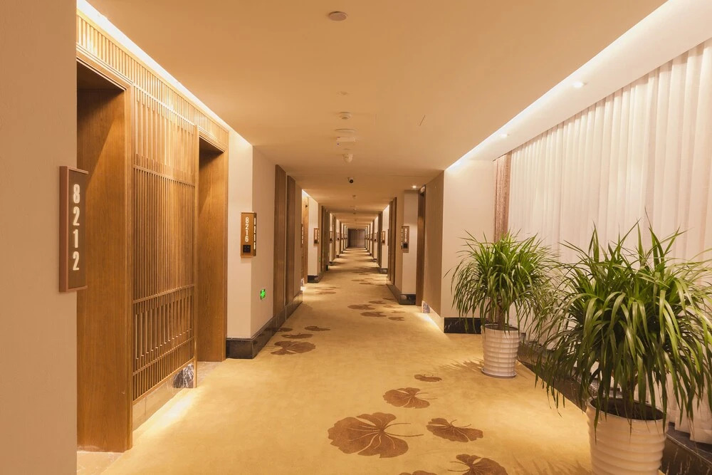 Friendsship Express Hotel