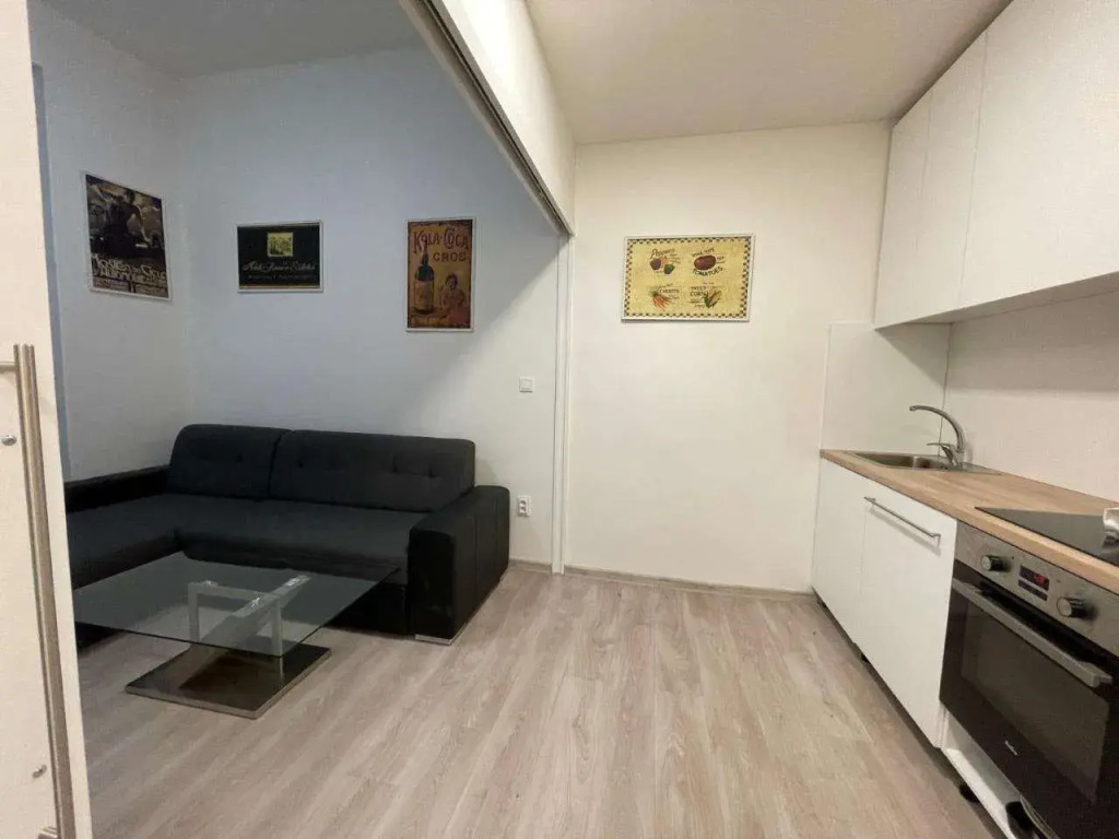 Vintage Apartment Ostrava centrum