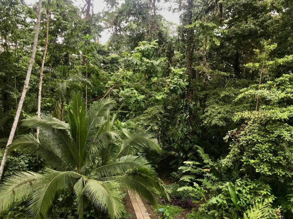 La Kukula Lodge