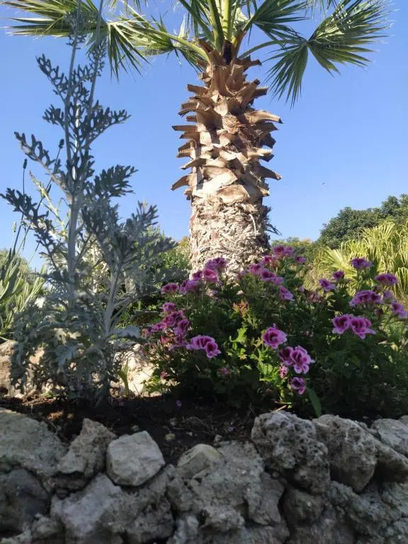 Giardino di Circe