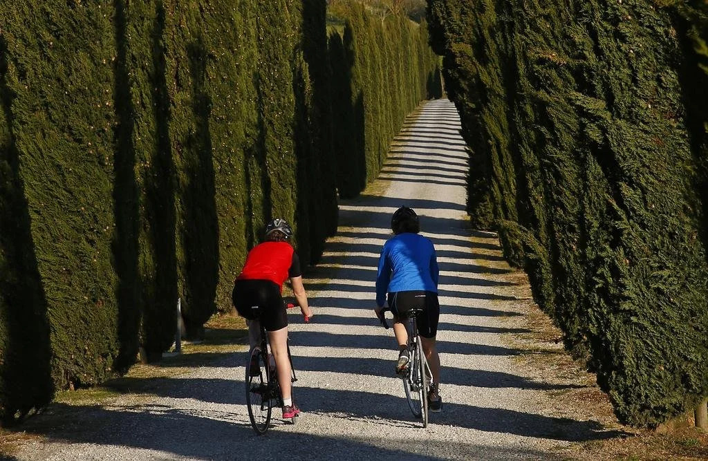 Poggio al Casone
