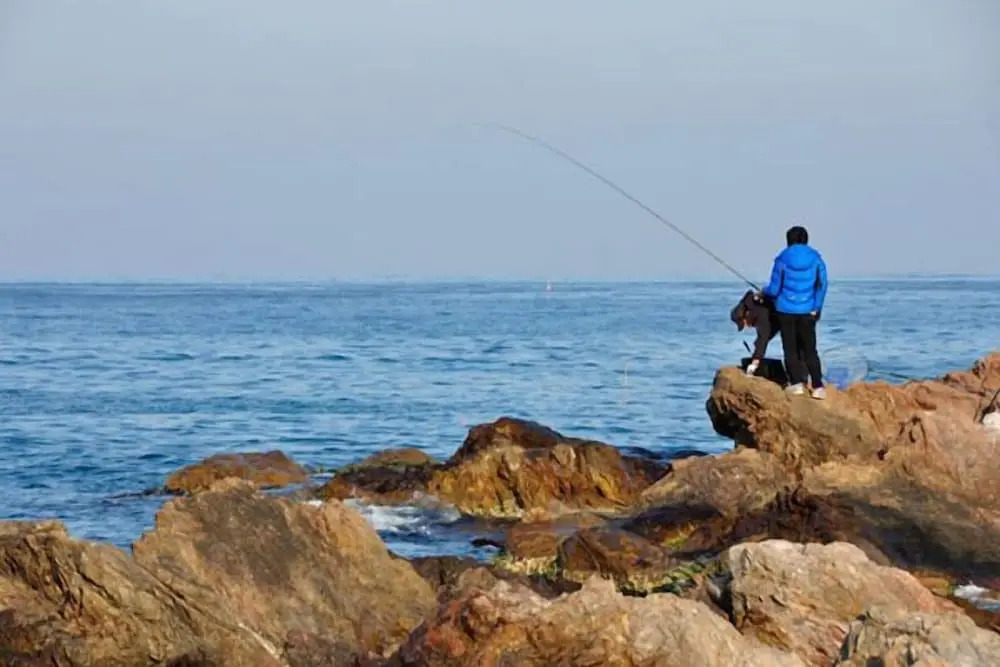 Pohang Sea Shore Pension