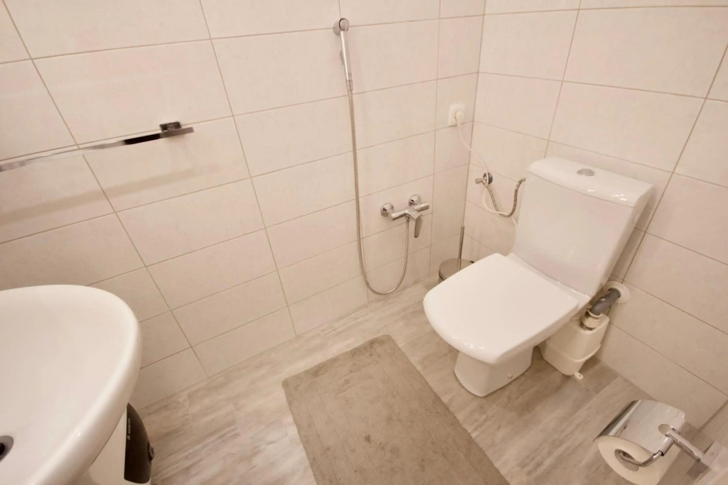 Albina apartment