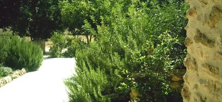 Il Tesoro Agriturismo