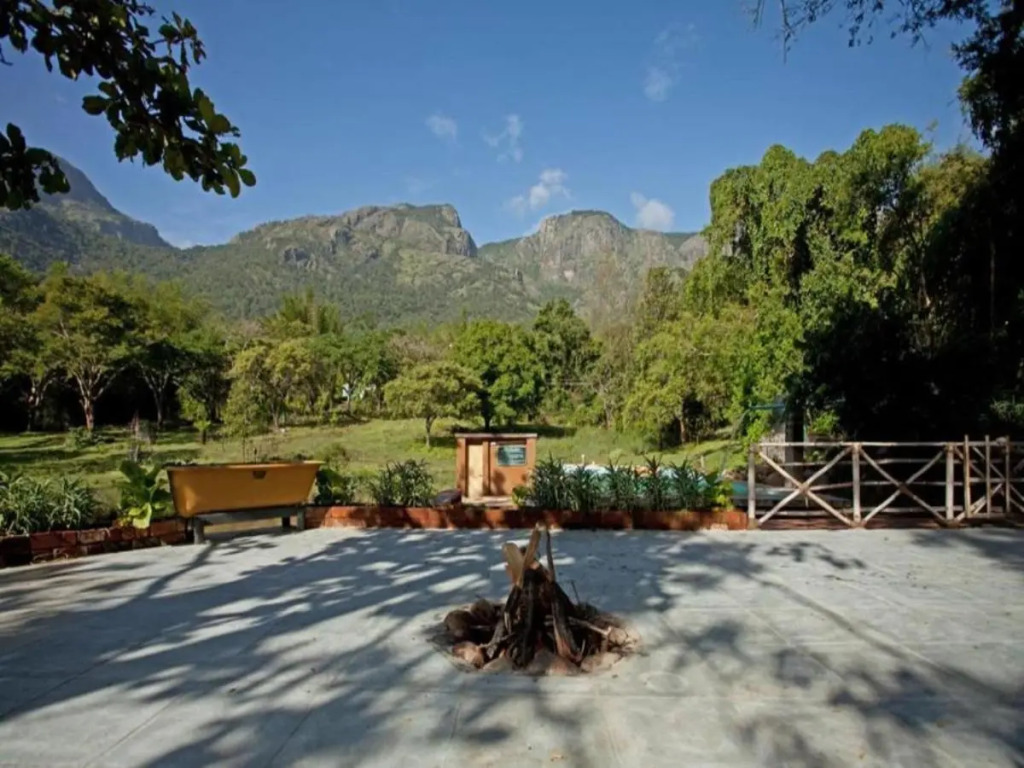 Jungle Hut Resort