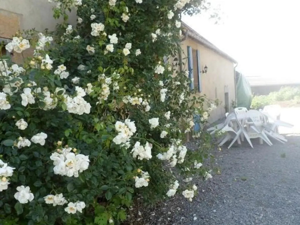 Gîte champêtre avec piscine et Wifi à Souvigny - FR-1-489-231
