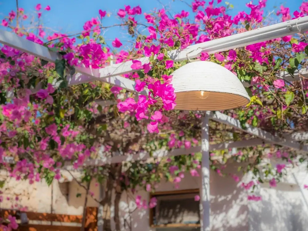 Fairytale House - Aghia Marina, Aegina Island