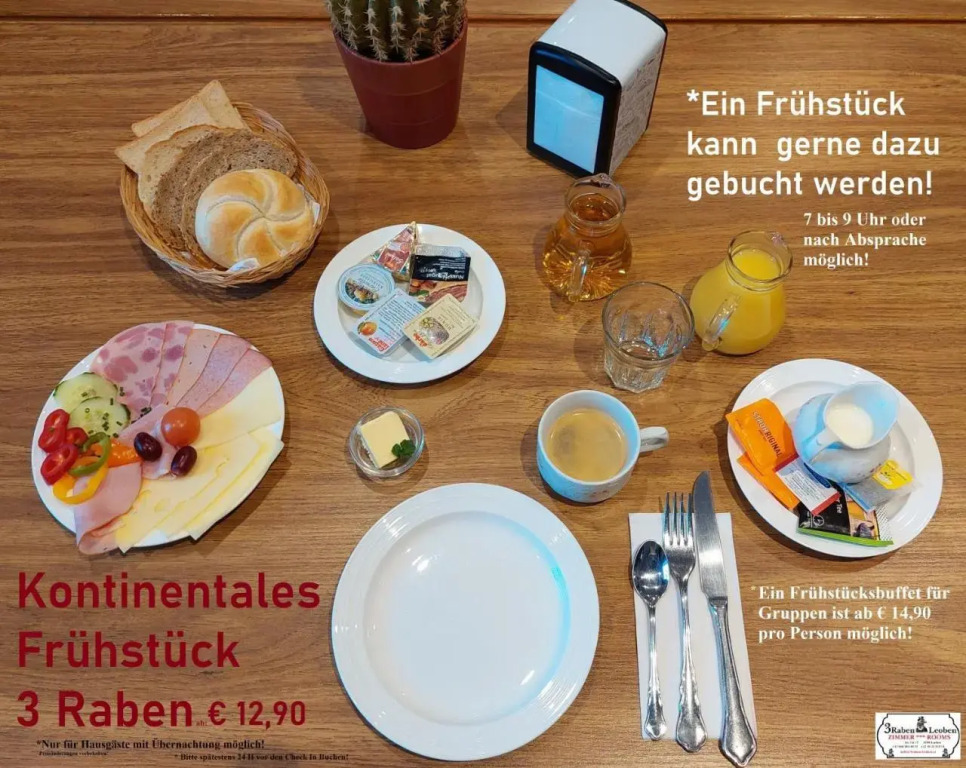 3 Raben - Leoben - Zimmer für Geschäftsreisende, Urlauber, Monteure und Handwerker, Polski Pensjonat Austria