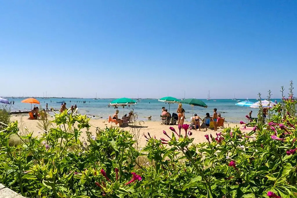 Porto Cesareo Apartment m514