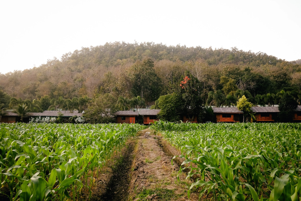 Karen Eco Lodge