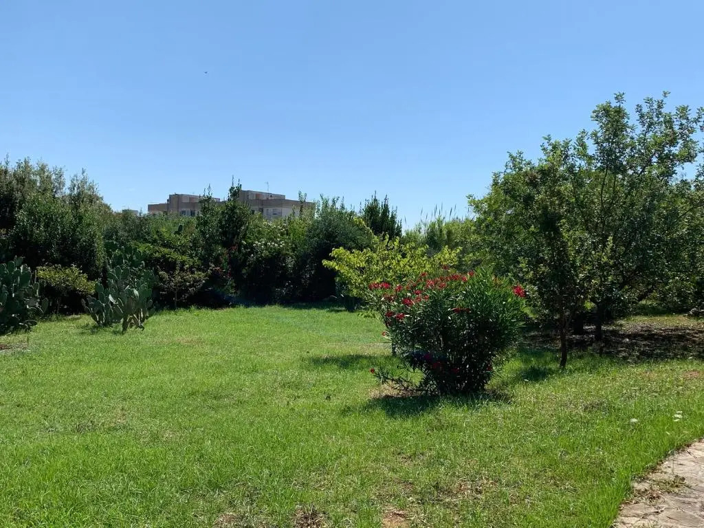 Villa Olivia
