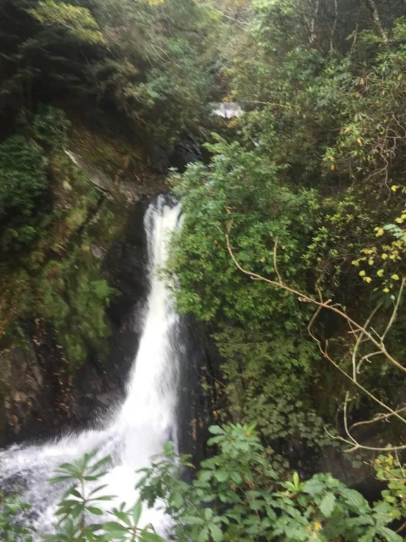 Bryn Derwen