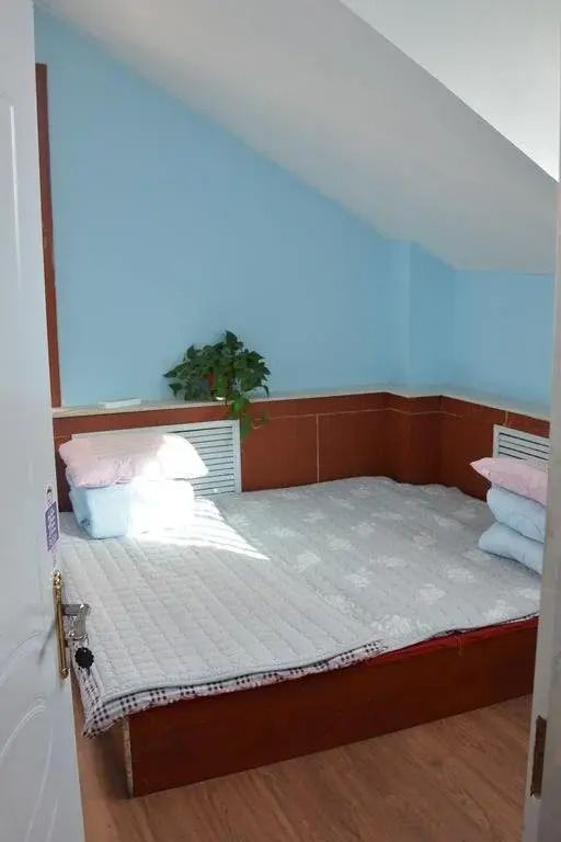 Youyou Youth Hostel
