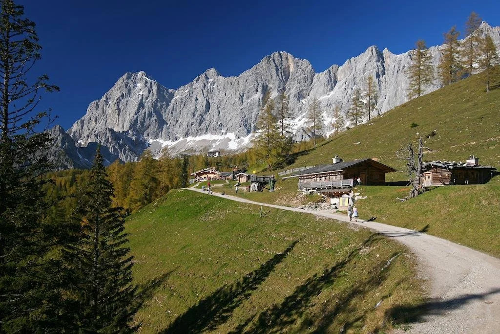 Biobauernhof Brandlhof