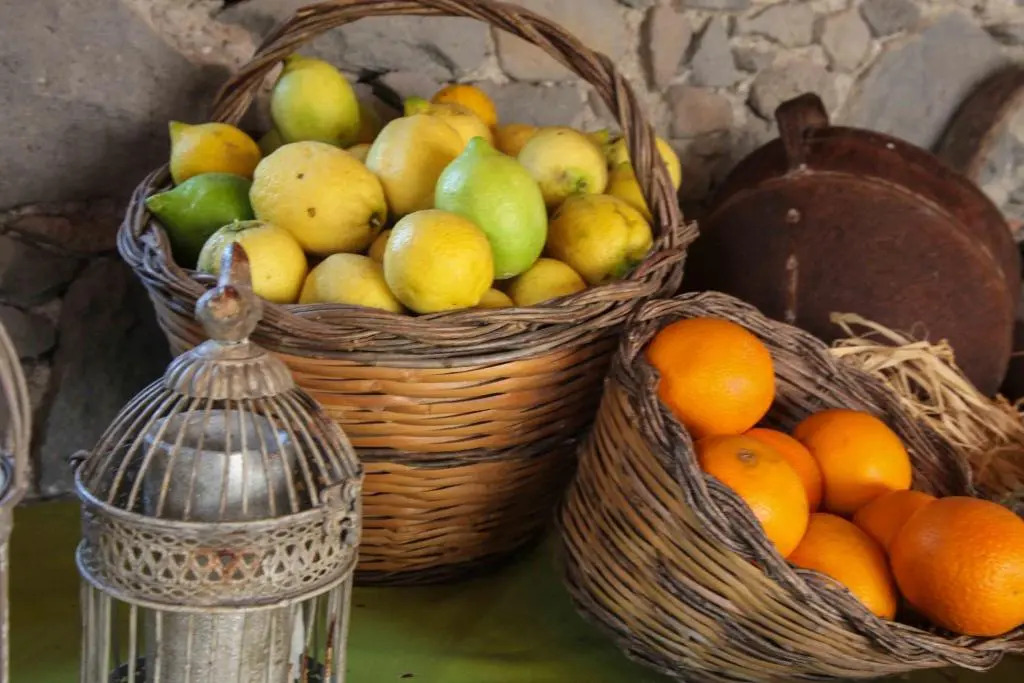 Agriturismo Galea