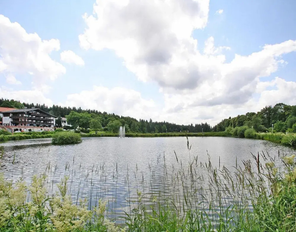 Ferienwohnung, Hahnenklee