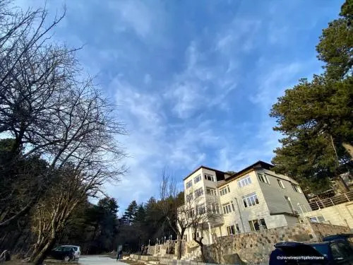 Shkreli Hotel Camp