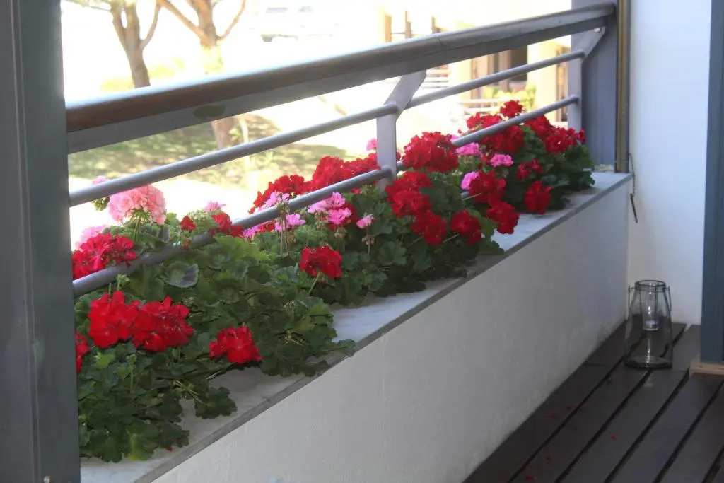 Apartamento Marina Park