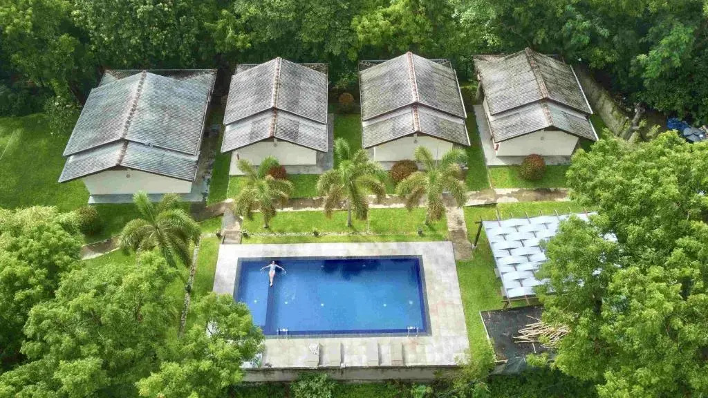 Jungle Paradise