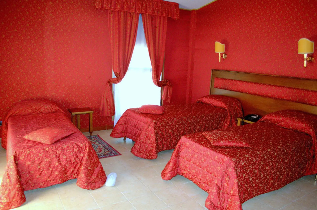 Hotel Shasa