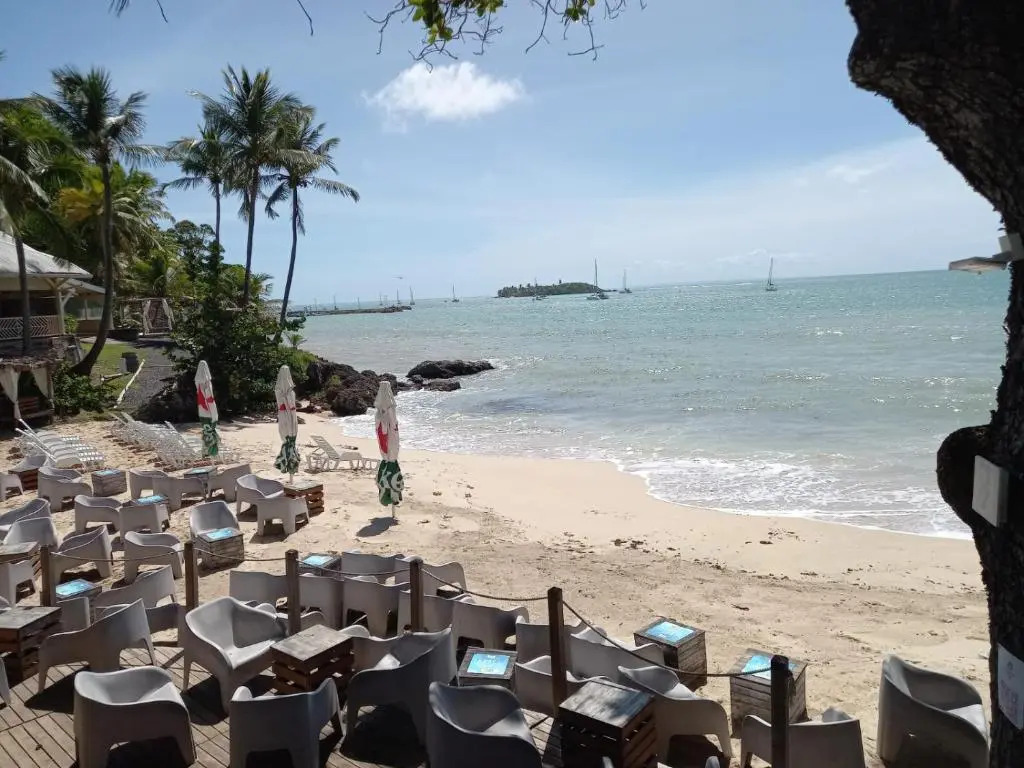 Grand studio de 41 m², vue mer et jardin tropical.